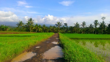 Road back to Homestay